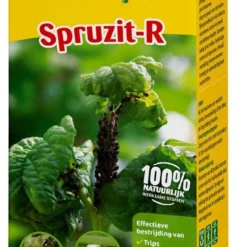 ECOstyle Spruzit-R Concentraat 100 Ml