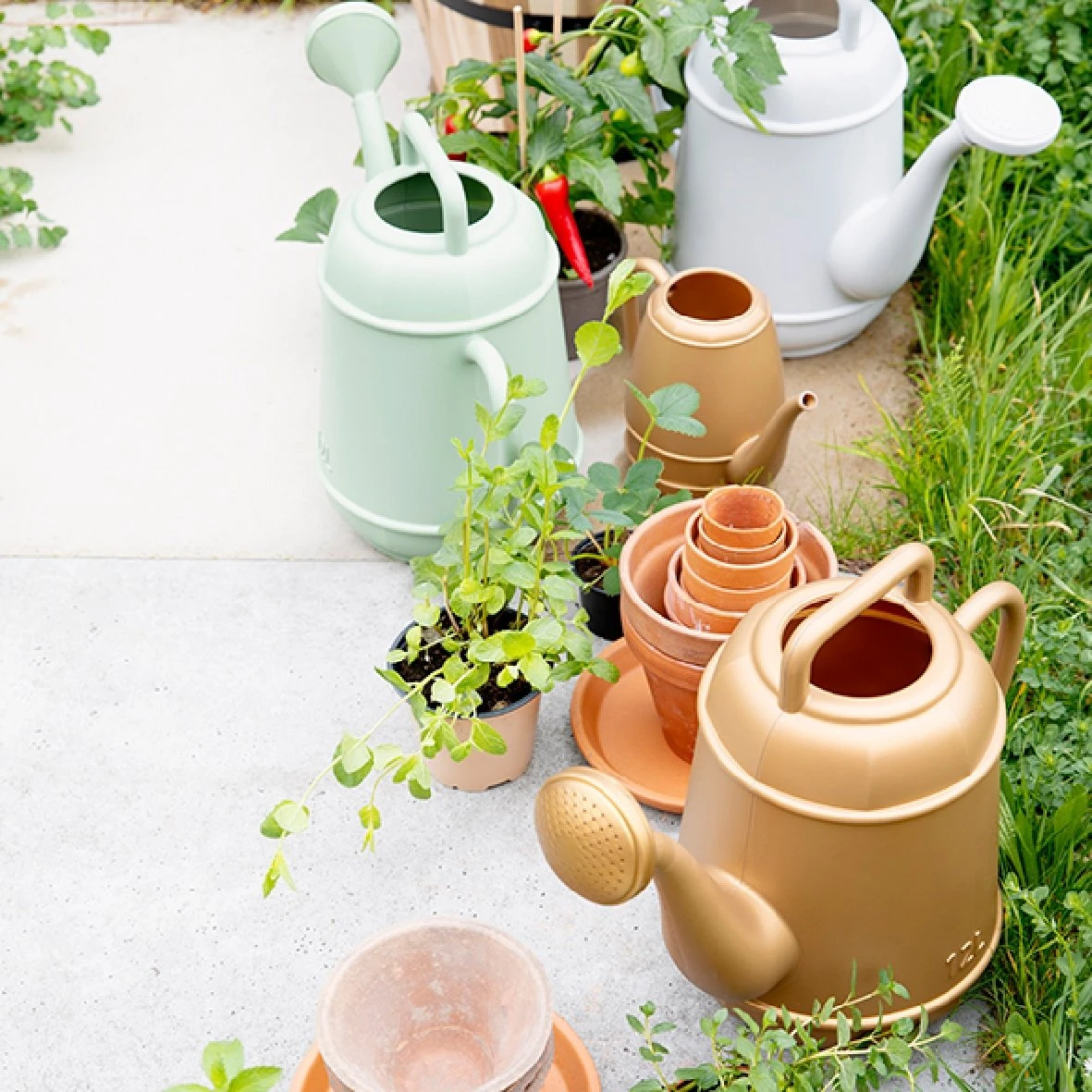 Gieter Plastic Mint 12L 2 Gieter Plastic Mint 12L - Afbeelding 2