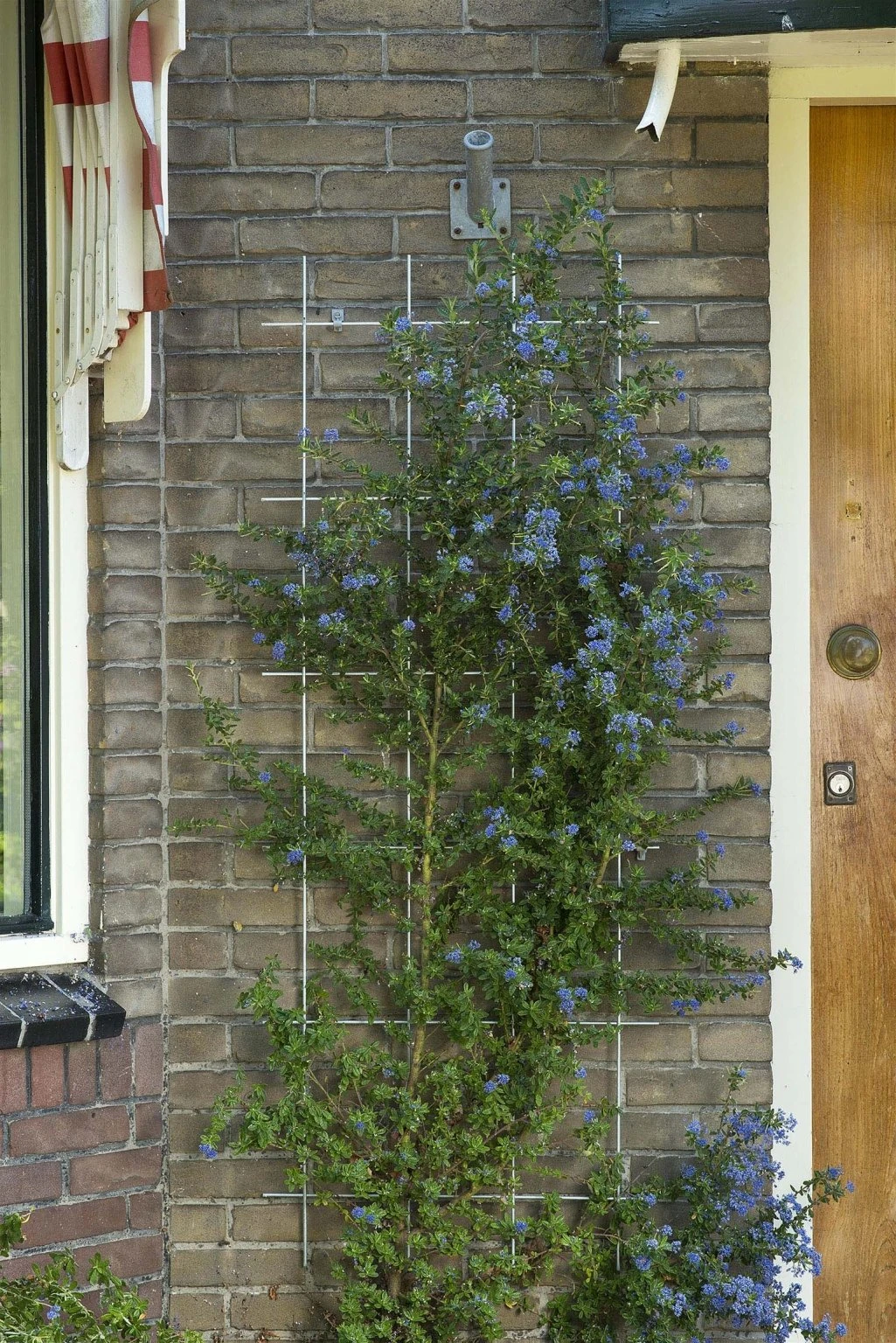 Nature Metalen Klimrek Grijs - H145x57cm 2 Nature Metalen Klimrek Grijs - H145x57cm - Afbeelding 2