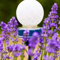 Pinnups Solarlampje 13 X Ø 5cm -Tuin Diep Verkoop pinnups solarlampje 13 x 5cm 567x737 626140f6a8e33 l