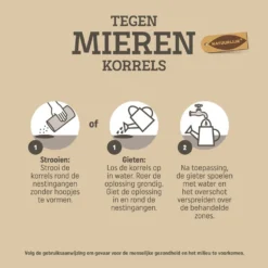 Pokon Tegen Mieren Korrels 400gr -Tuin Diep Verkoop pokon tegen mieren korrels 400gr 1000x1000 6221fb528039b l