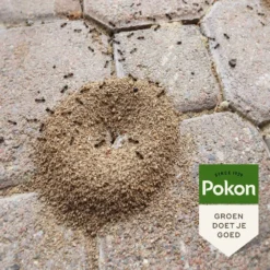 Pokon Tegen Mieren Korrels 400gr -Tuin Diep Verkoop pokon tegen mieren korrels 400gr 1000x1000 6221fb52c5ede l