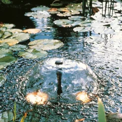 Ubbink Xtra Fonteinpomp 1600 -Tuin Diep Verkoop ubbink xtra fonteinpomp 1600 1582732994 l